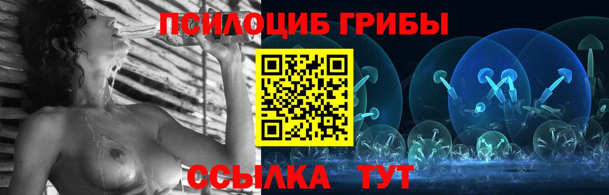 Галлюциногенные грибы Cubensis Коряжма